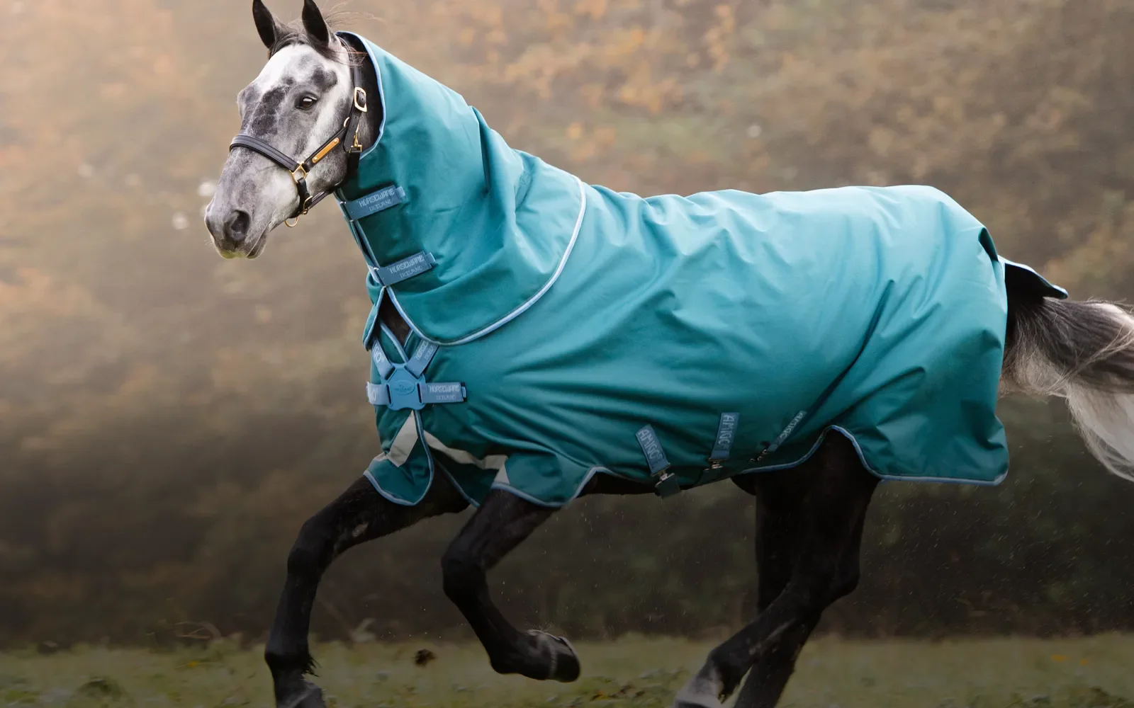 Welcome to Our Store